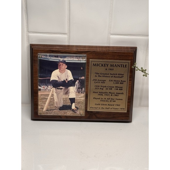 In Memory Of Mickey Mantle HOF Plaque - Picture 1 of 1